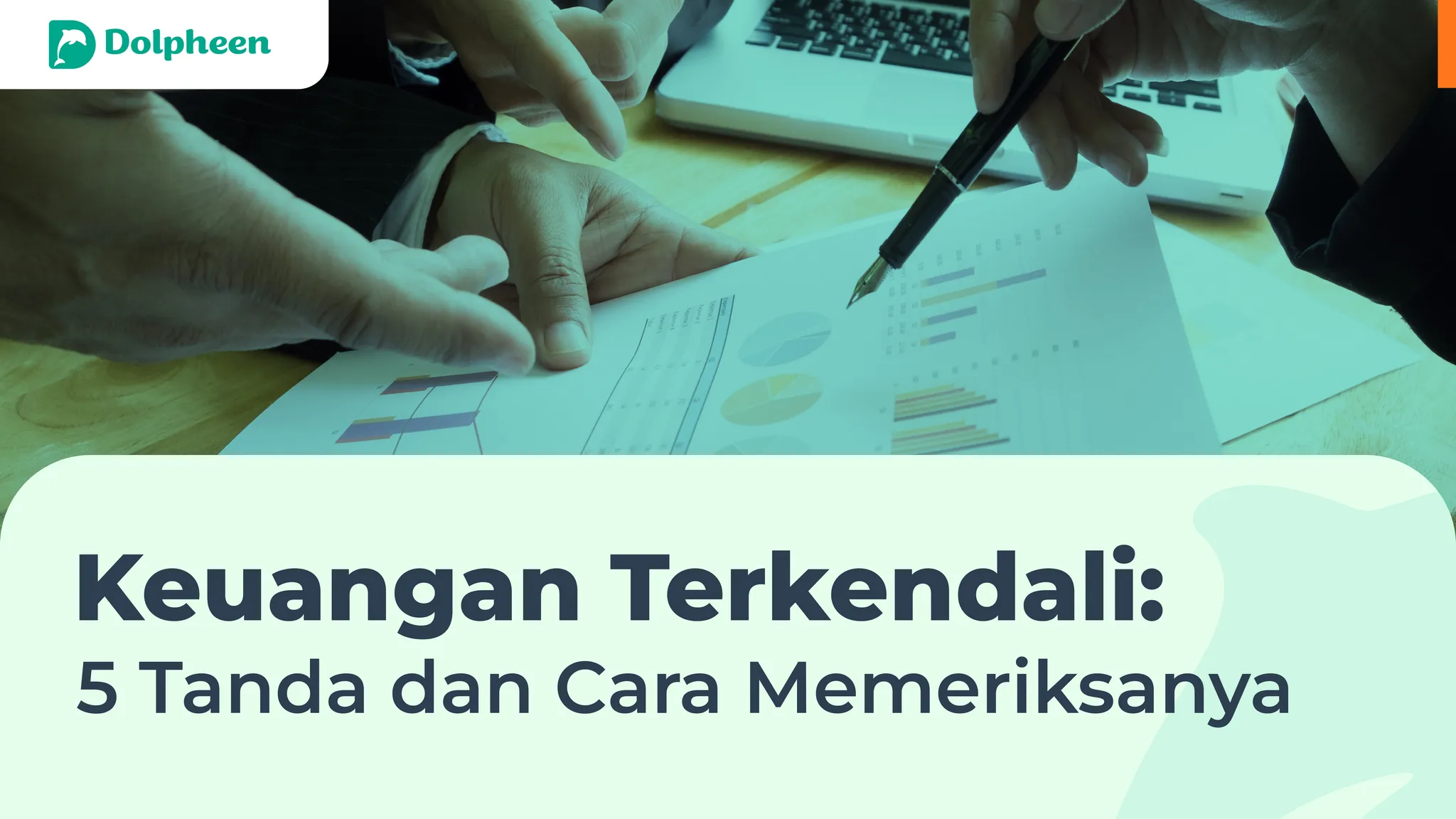 Keuangan Terkendali: 5 Tanda dan Cara Memeriksanya - Dolpheen Indonesia